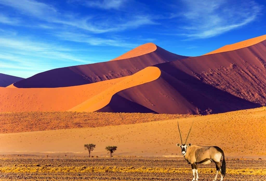 FASCINATING NAMIBIA